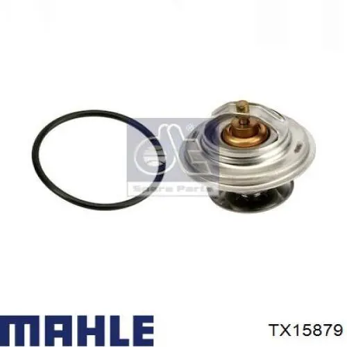 Comprar 175176 Febi Termostato