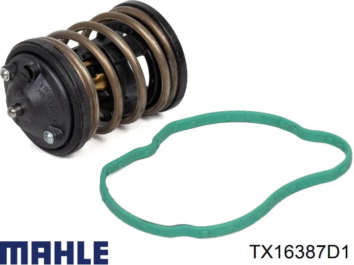 TX16387D1 Mahle Original