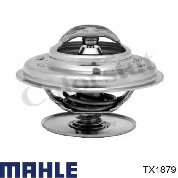TX1879 Mahle Original termostato