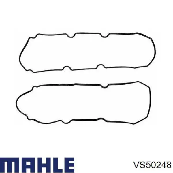 VS50248 Mahle Original