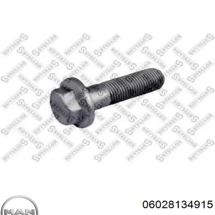 Perno de fijación de la abrazadera del árbol de transmisión MAN 06028134915 precio, desde 3,32 EUR