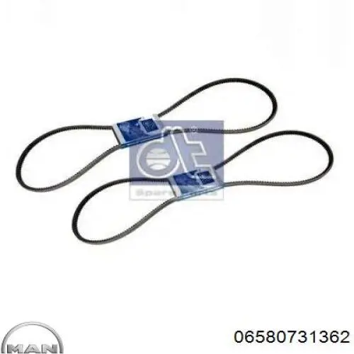 Correa de transmisión trapezoidal MAN 06580731362 precio, desde 8,24 EUR