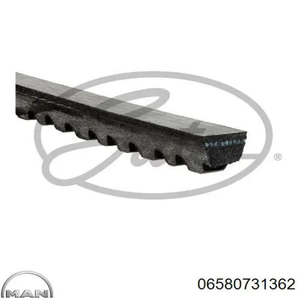 06580731362 MAN Correa poly v