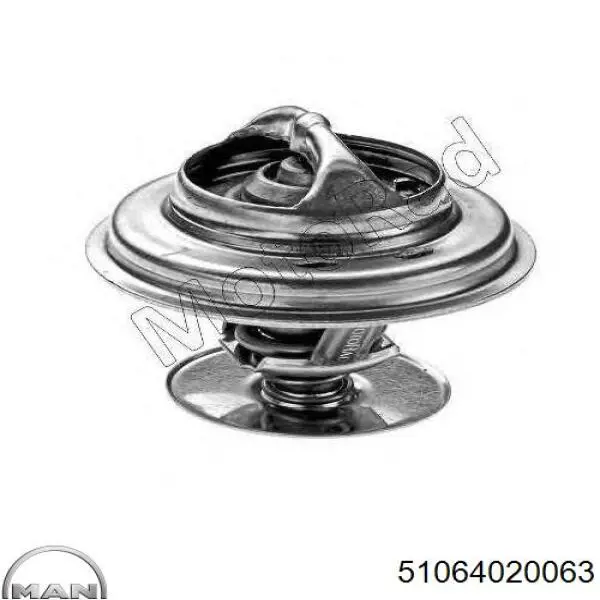 Termostato MAN 51064020063 precio, desde 11,31 EUR