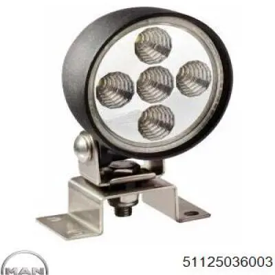 Filtro combustible MAN 51125036003 precio, desde 26,07 EUR