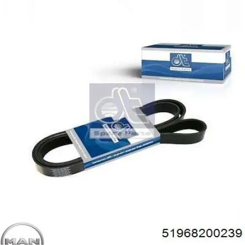 Correa de transmisión trapezoidal MAN 51968200239 precio, desde 19,56 EUR