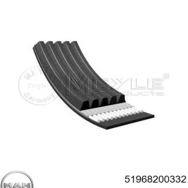 51968200332 MAN correa trapezoidal