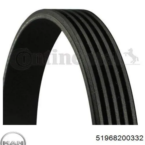 Comprar 51968200332 MAN Correa trapezoidal