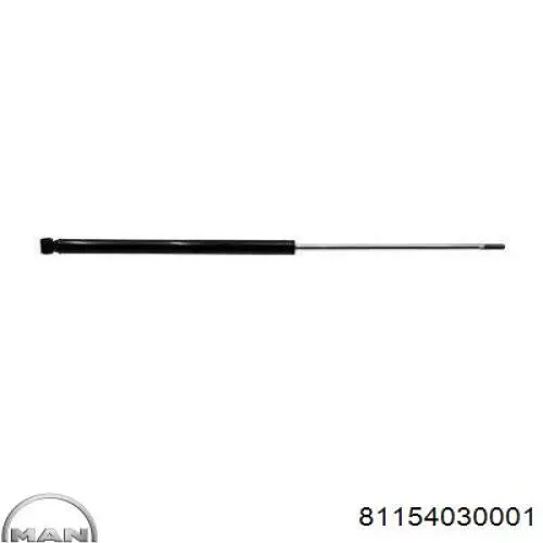 81154030001 MAN