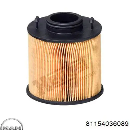 81154036089 MAN Filtro de AdBlue