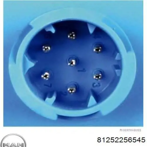 Comprar 81252256545 MAN Piloto trasero derecho