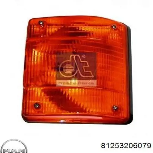 81253206079 MAN Luz intermitente