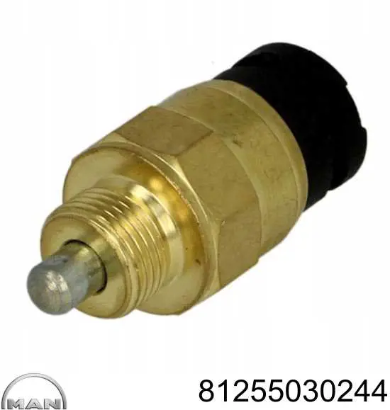 Sensor del indicador de la luz de la caja de transferencia del bloqueo del diferencial 81255030244 MAN