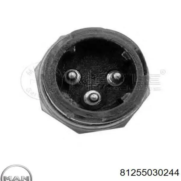 81255030244 MAN sensor de luz de transferencia de bloque diferencial