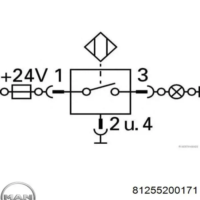 81255200171 MAN interruptor luz de freno