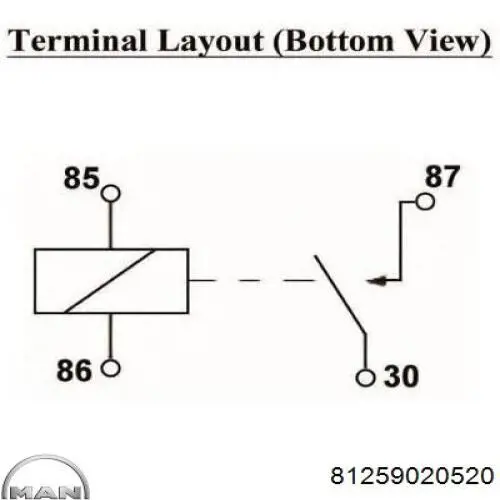 81259020520 MAN rele de ventana trasera calefaccion