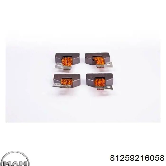 Comprar 81259216058 MAN Escobilla de motor de arranque