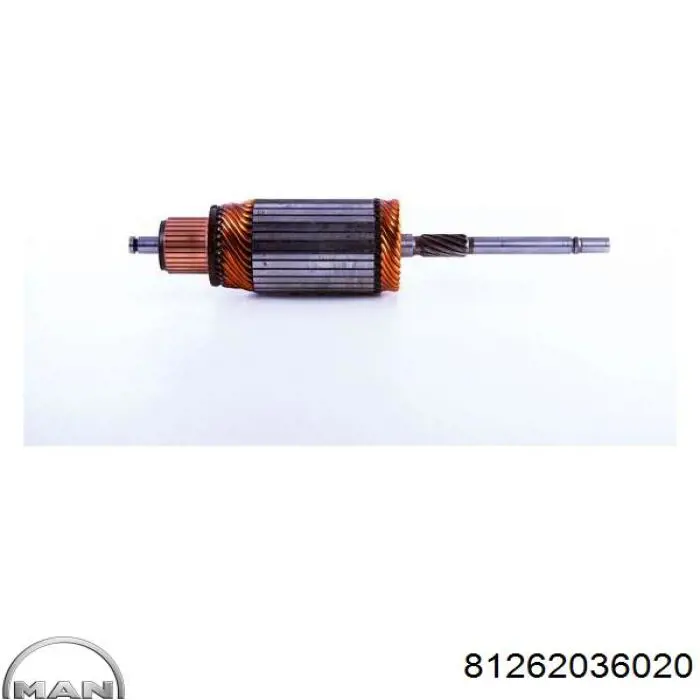 Inducido del motor de arranque 71310309 Profit