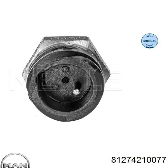 81274210077 MAN Sensor temperatura refrigerante