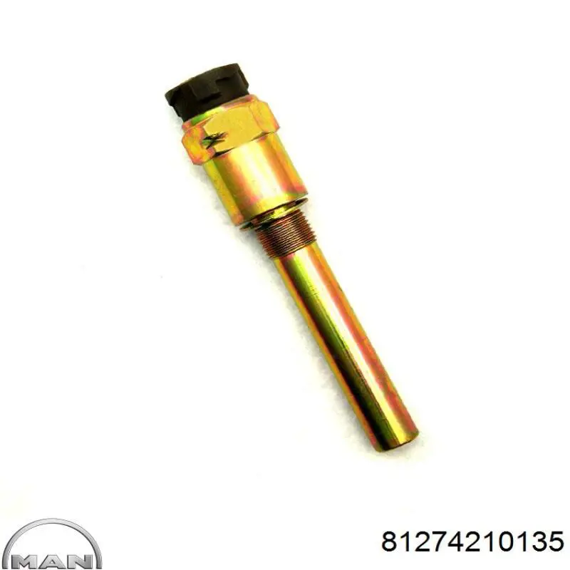 81274210135 MAN sensor de velocidad