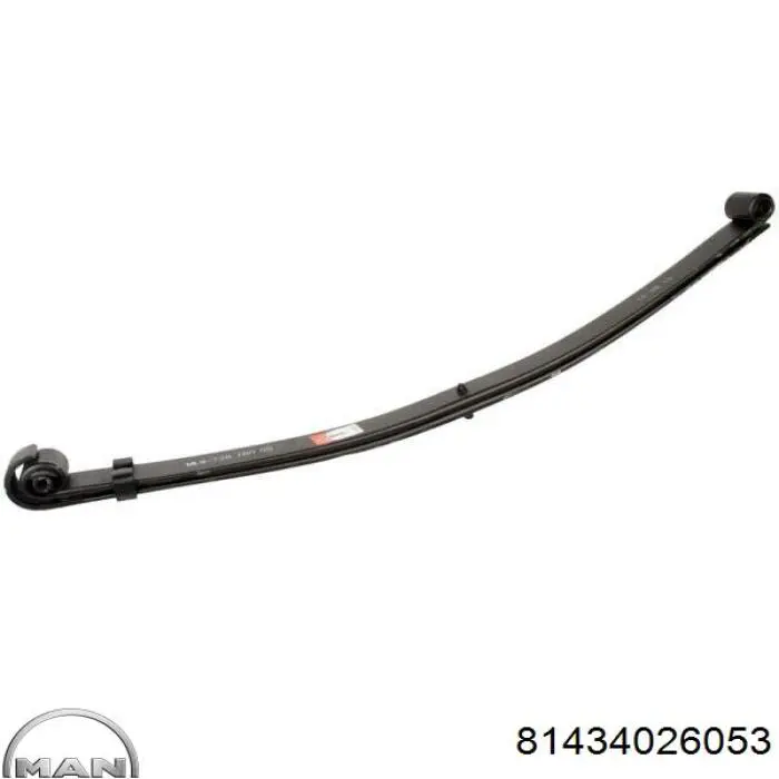 72810001ZTES TES Ballesta de suspensión delantera