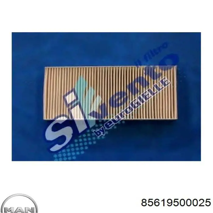 85619500025 MAN Filtro antipolen