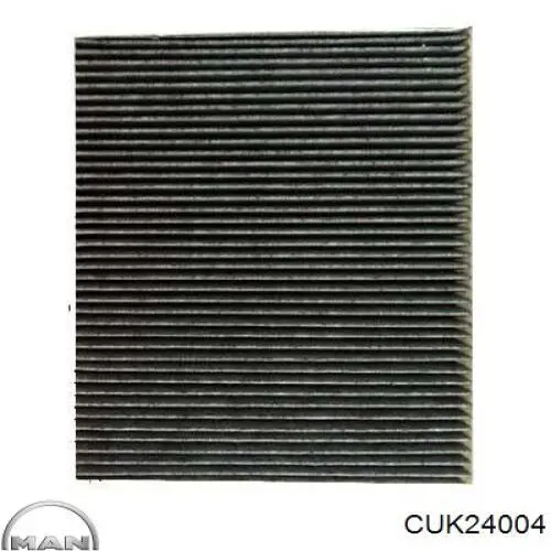 CUK24004 MAN Filtro antipolen