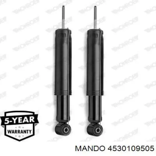 Amortiguador trasero RS109505 Raiso