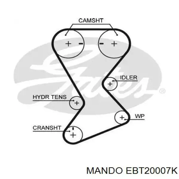 Tensor de la correa de distribución GMB GTB0040 precio, desde 26,32 EUR