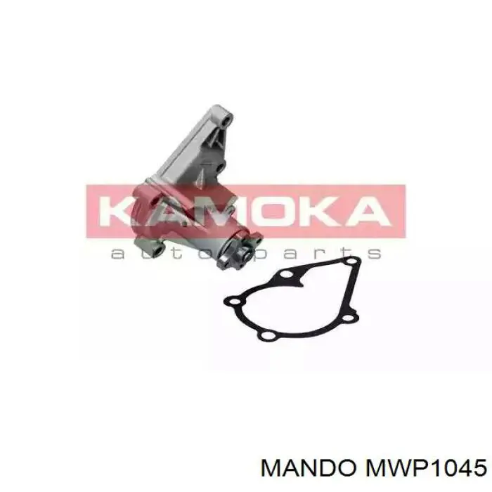 DP502 Dayco Bomba refrigerante coche