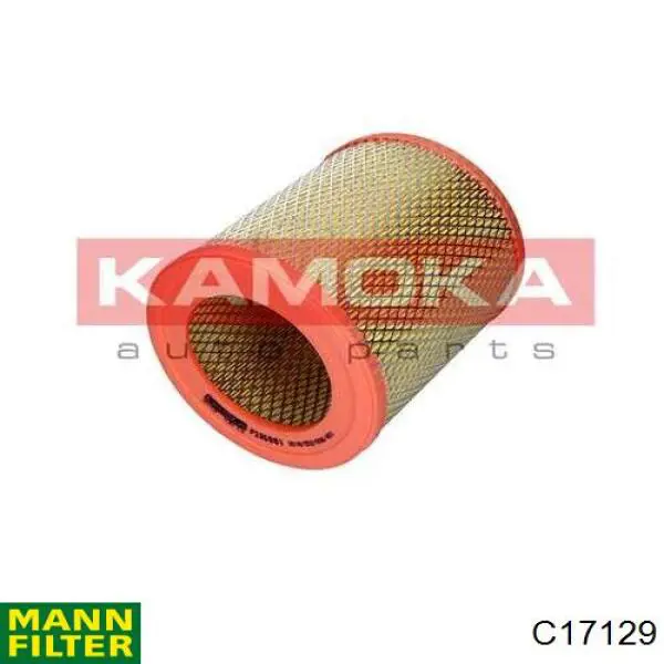 C17129 Mann-Filter filtro de aire