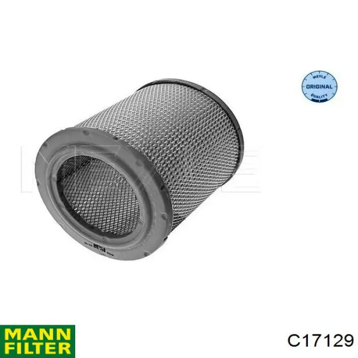 Comprar C17129 Mann-Filter Filtro de aire