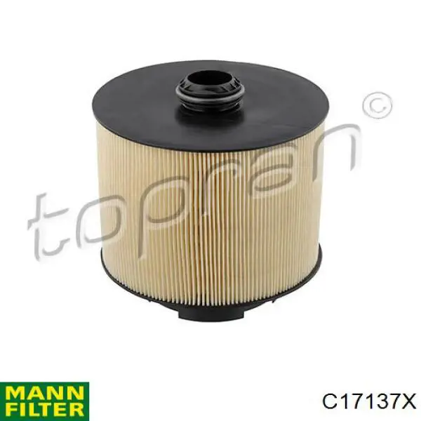 C17137X Mann-Filter