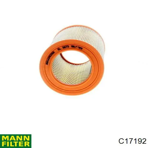 C17192 Mann-Filter filtro de aire