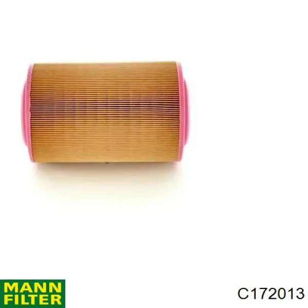 Filtro aire Mann-Filter C172013