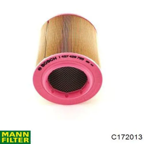 Comprar C172013 Mann-Filter Filtro de aire