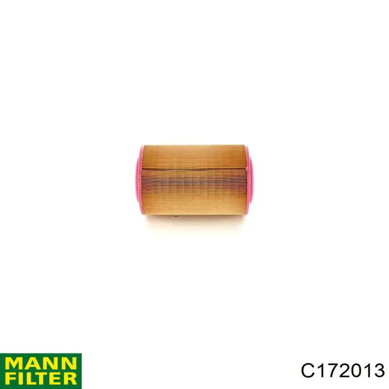 C172013 Mann-Filter Filtro de aire de motor