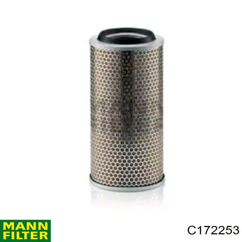 Comprar C172253 Mann-Filter Filtro de aire