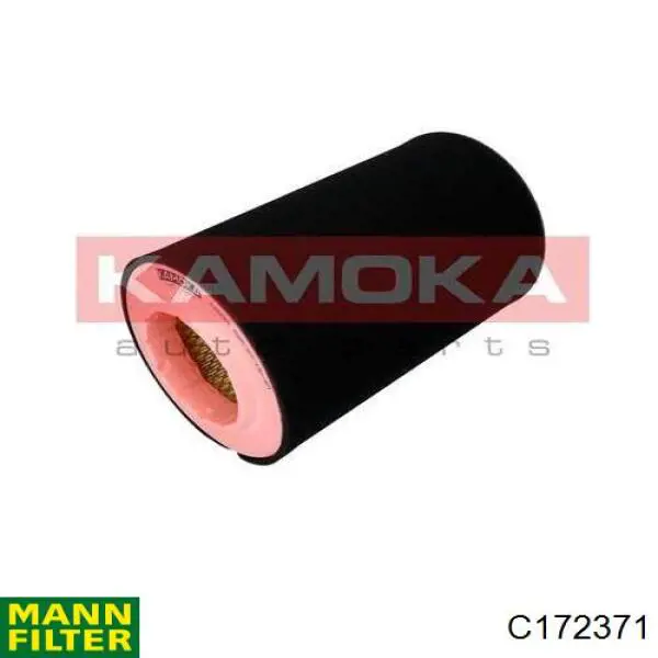C172371 Mann-Filter filtro de aire
