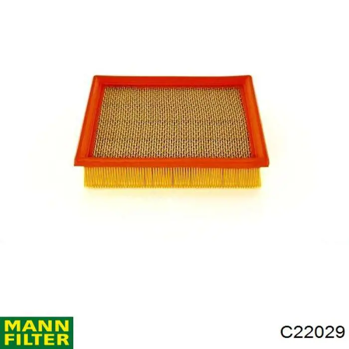 Comprar C22029 Mann-Filter Filtro de aire