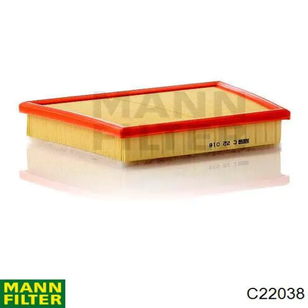 El filtro de aire Mann-Filter C22038 precio, desde 18,09 EUR