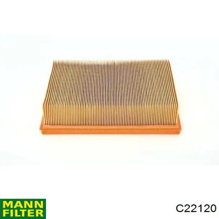 Filtro de aire C22120 Mann-Filter