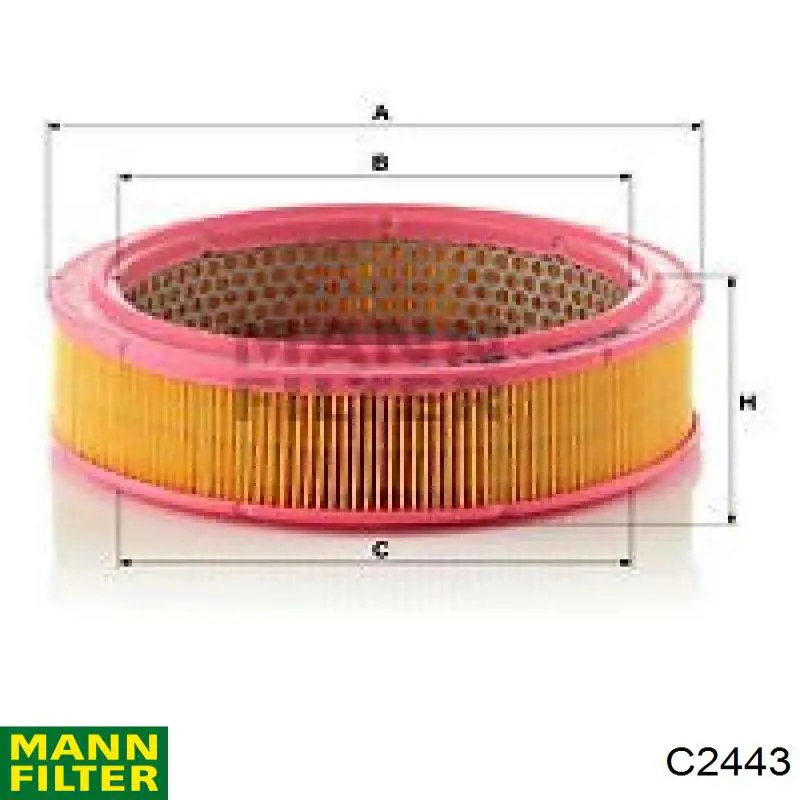 C2443 Mann-Filter filtro de aire