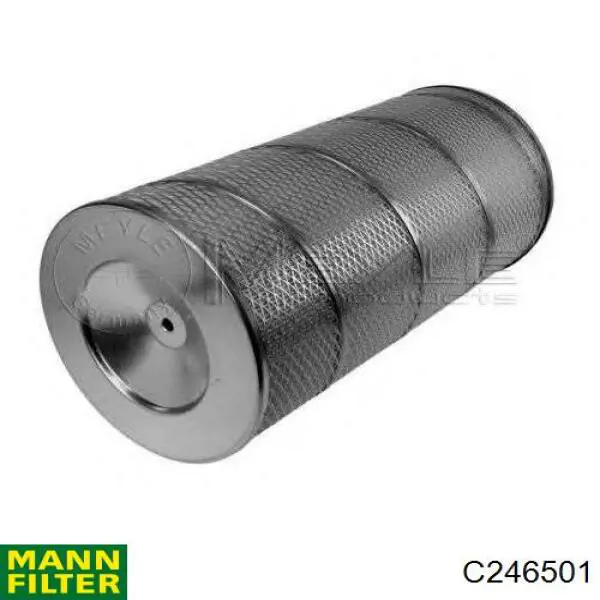 Comprar C246501 Mann-Filter Filtro de aire