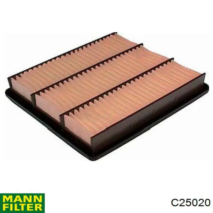 C25020 Mann-Filter filtro de aire
