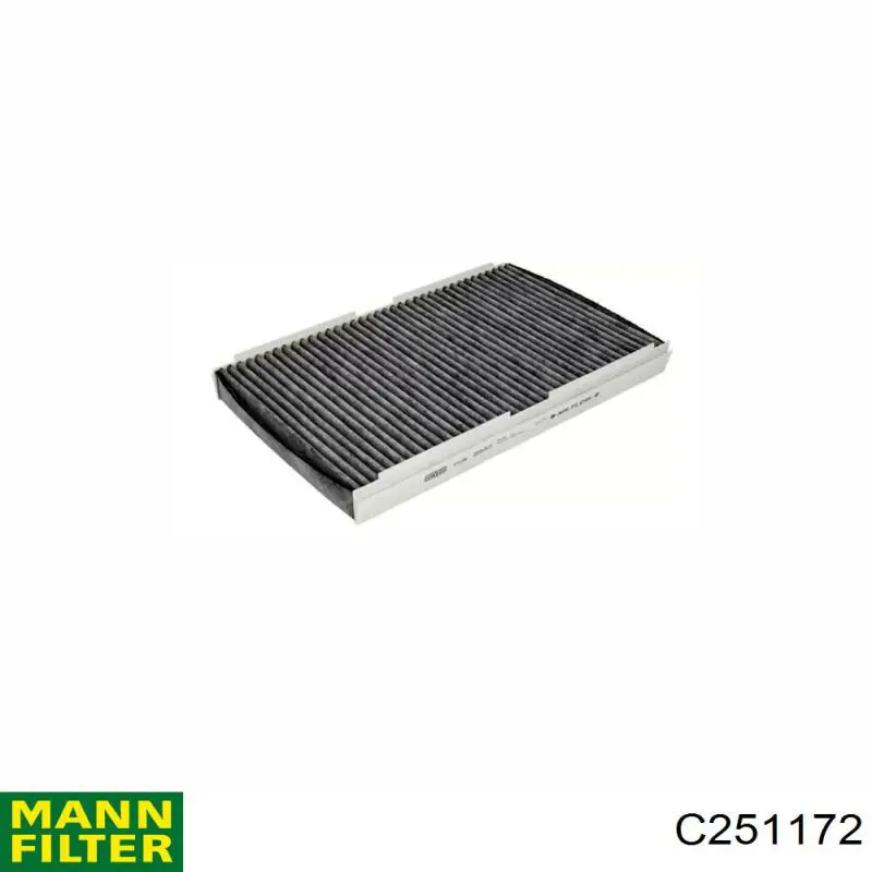 C251172 Mann-Filter Filtro de aire de motor