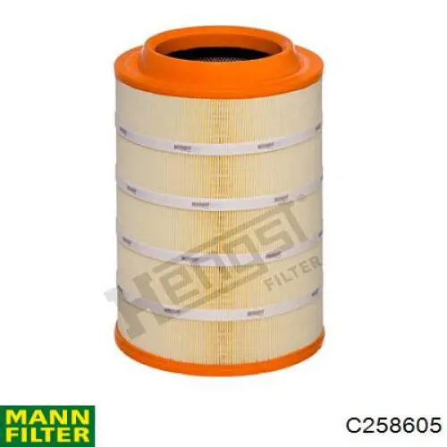 C258605 Mann-Filter filtro de aire