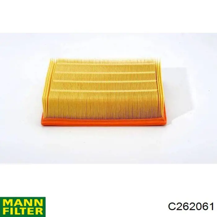 C262061 Mann-Filter filtro de aire