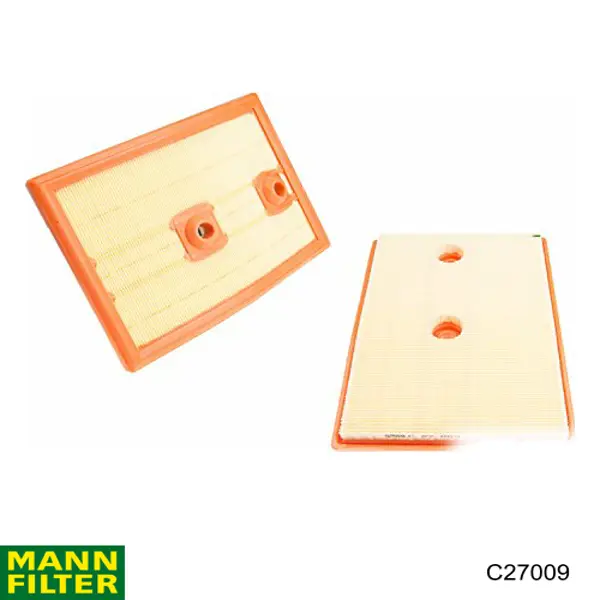 Filtro de aire coche Mann-Filter C27009
