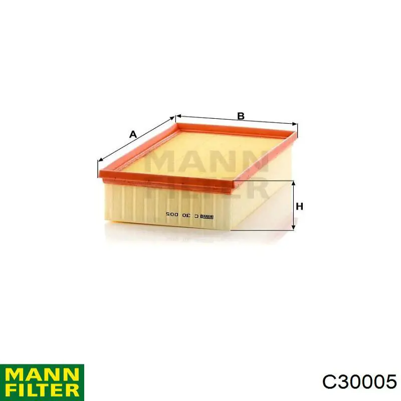 Filtro de aire Volkswagen Tiguan BW2, BJ2